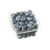 2025 South Africa Fresh Blueberries 125g pint punnet Premium Grade Export Now Available