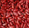 Dried Dark Red Kidney Bean