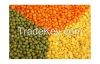 Lentils for sale