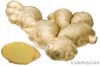 Sell Fresh Ginger