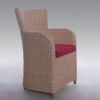 Sell Cane Chair Leisure Chair Rattan Chair TD066