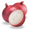 Sell Fresh Onion ( White /Red)