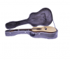 ABS ACOUSTIC GUITAR CASES