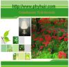 Galanthamine Hydrobromide 99% Shorttube Lycoris extract