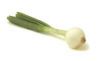 Sell Spring Onion