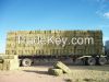 Sell Alfalfa and wheat hay