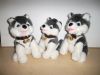 Sell plush toy husky dog