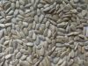 Sell Sunflower Seeds Kernels