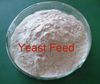 Sell Yeast for animal feed