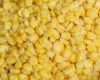 Maize | Maize Exporter | Corn Grain Seller | Maize Buyer | Bulk Maize Grain Importer | Corn bean Buyer | Corn bean Wholesaler | Corn Grain Manufacturer | Best Quality Corn Grain | Cheap Maize Supplier | Low Price Corn | Yellow Corn | White Cron | Baby Mai