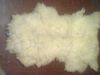 merino sheep wool leather