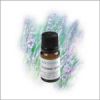 Sell Lavender oil