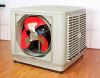 Windowed Industrial Evaporative Air Cooler