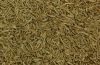 Cumin Seed