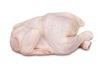 Sell HALAL Frozen Chicken Grade A