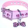 Dog Collars & Dog Clothes