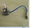 Sell Auto Halogen Bulb 12V/24V H1 H3 H4 H7