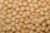 Sell Non-gmo Yellow Soybeans