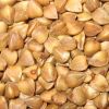 Sell Crop 2012 buckwheat kernel