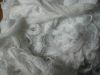 Sell Cotton Yarn Waste