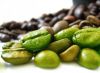 Export Coffee Beans | Arabica Coffee Beans Suppliers | Robusta Coffee Beans Exporters | Coffee Bean Traders | Wholesale Coffee Beans | Buy Coffee Beans | Bulk Coffee Bean | Green Coffee Bean Buyer | Low Price Roasted Coffee Bean | Import Coffee Bean | Cof