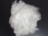 Sell virgin nylon staple fibre