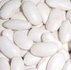 Sell flat type white kidney beans