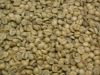 Sell green coffee beans