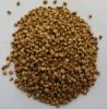 Sell roasted buckwheat