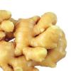 Sell yellow fresh ginger