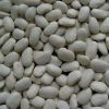 Sell Large White Kidney Beans