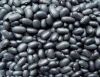 Sell black beans