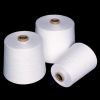 Sell  100% polyester yarn for sewing threads