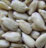 Hulled Sunflower Seeds Kernels