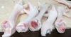 Export Chicken Paw | Chicken Feet Suppliers | Poultry Feet Exporters | Chicken Feets Traders | Processed Chicken Paw Buyers | Frozen Poultry Paw Wholesalers | Low Price Freeze Chicken Paw | Best Buy Chicken Paw | Buy Chicken Paw | Import Chicken Paw | Chi