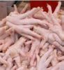 Export Chicken Paw | Chicken Feet Suppliers | Poultry Feet Exporters | Chicken Feets Traders | Processed Chicken Paw Buyers | Frozen Poultry Paw Wholesalers | Low Price Freeze Chicken Paw | Best Buy Chicken Paw | Buy Chicken Paw | Import Chicken Paw | Chi