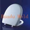 plastic toilet cover mold