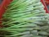 Sell Lemongrass