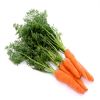 Sell beta carotene