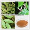 Epimedium Extract  Icariin 10%