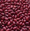 Kidney Beans