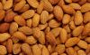 Almond Nuts