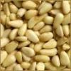 Pine Nuts