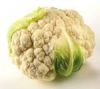 Cauliflower