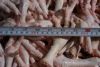 Frozen Chicken feet for sale