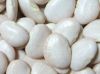 Lima white Beans For sale