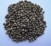 Hemp Seeds For Sale