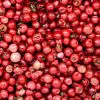 PINK PEPPERCORN