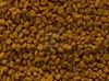 Sell fenugreek seed