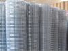 Sell Welded Wire Mesh